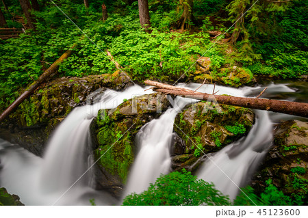 Sol Duc Falls Olympic National Park 45123600