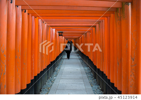 Fushimi Inari Taisha Shrine in Kyoto, Japan 45123914