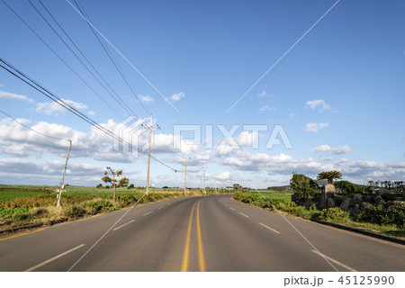 済州 風景 道 45125990