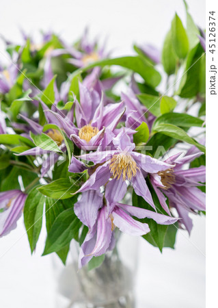 bouquet of lilac clematis flowers in glass vase. the work of the florist at a flower shop. A glass 45126374