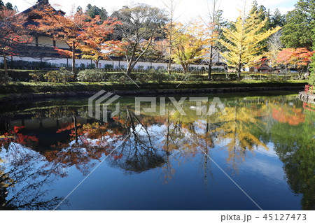 高野山の紅葉 45127473