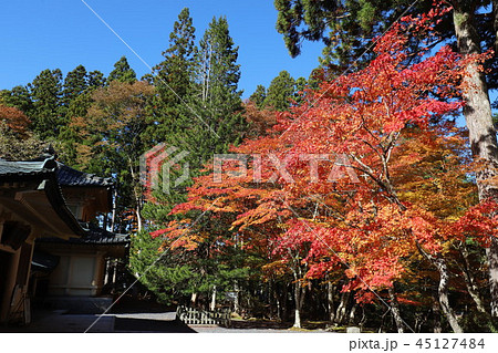 高野山の紅葉 高野山の紅葉 45127484