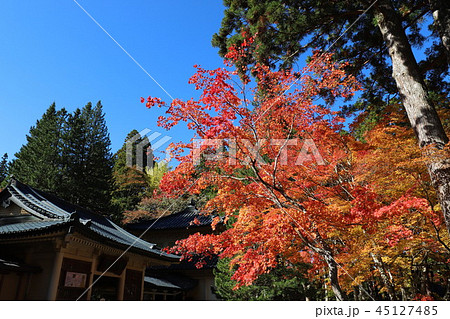 高野山の紅葉 高野山の紅葉 45127485