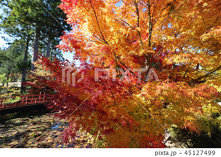 高野山の紅葉 45127499