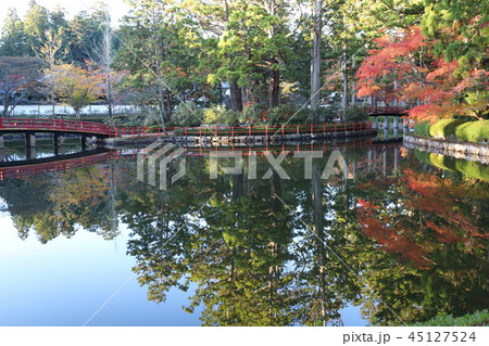高野山の紅葉 45127524