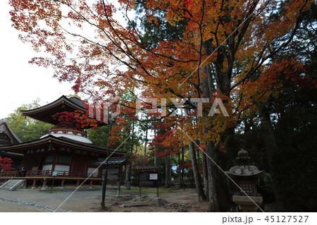 高野山の紅葉 45127527