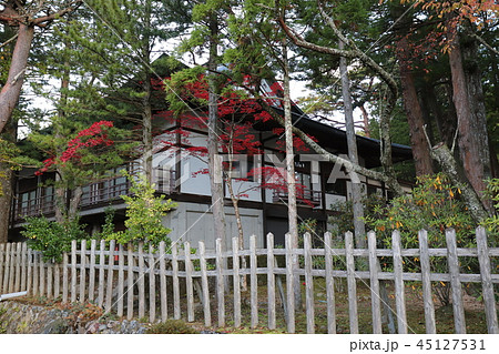 高野山の紅葉 45127531