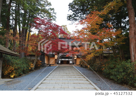 高野山の紅葉 45127532