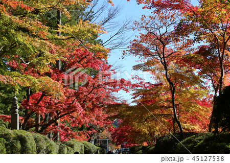 高野山の紅葉 45127538