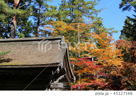 高野山の紅葉 45127566