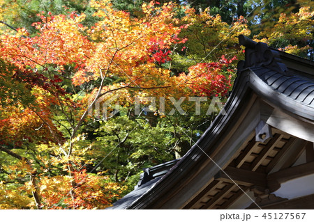 高野山の紅葉 45127567