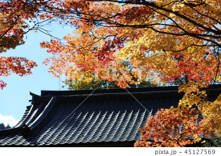 高野山の紅葉 高野山の紅葉 45127569