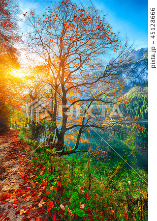 Beautiful view of idyllic colorful autumn scenery Beautiful view of idyllic colorful autumn scenery 45128666