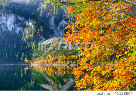 Beautiful view of idyllic colorful autumn scenery Beautiful view of idyllic colorful autumn scenery 45128694