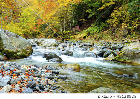 紅葉の照葉峡2018-6 45128928