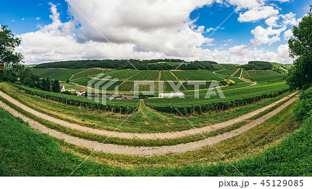 The nature of northern Burgundy 45129085