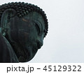 大仏 45129322
