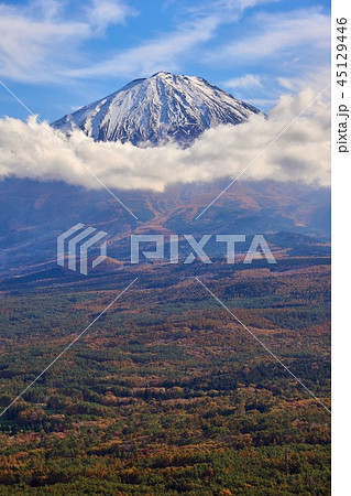 山梨県　富士山　もみじ台の風景 45129446