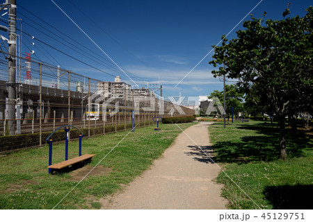 総武線沿いの西船近隣公園、船橋市 総武線沿いの西船近隣公園、船橋市 45129751