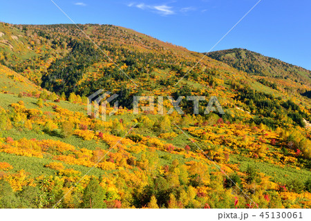 八幡平の紅葉 八幡平の紅葉 45130061
