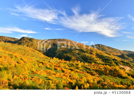 八幡平の紅葉 八幡平の紅葉 45130068