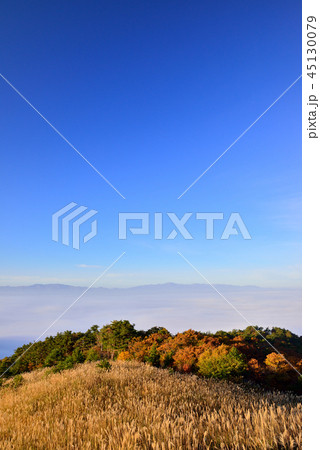 高ツムジ山の雲海 高ツムジ山の雲海 45130079