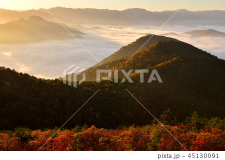 高ツムジ山の雲海 高ツムジ山の雲海 45130091