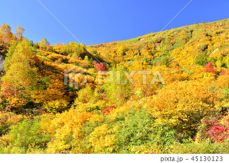八幡平の紅葉 八幡平の紅葉 45130123