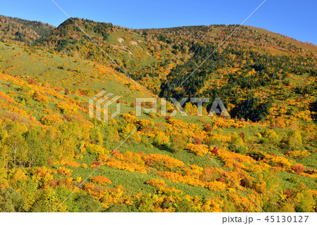 八幡平の紅葉 八幡平の紅葉 45130127