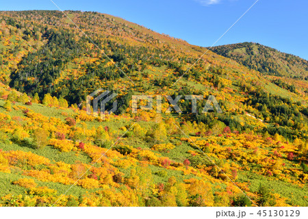 八幡平の紅葉 45130129