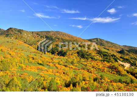 八幡平の紅葉 45130130
