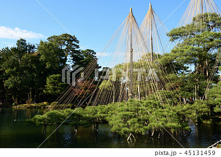 兼六園(雪つり) 兼六園(雪つり) 45131459