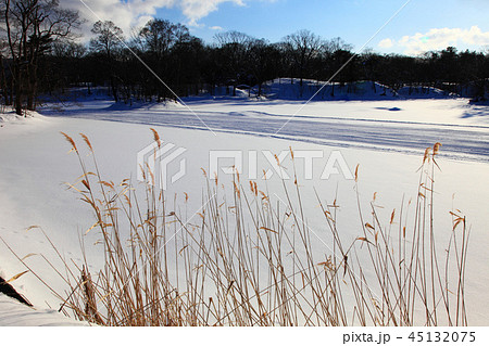 厳冬の大沼国定公園 厳冬の大沼国定公園 45132075