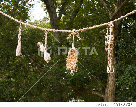 鴨川市打墨 綱つり 鴨川市打墨 綱つり 45132702