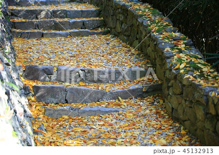 秋 紅葉 階段 45132913