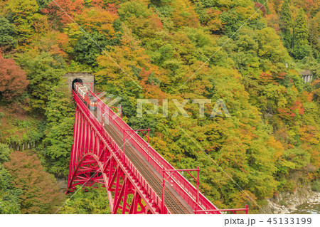 黒部峡谷 トロッコ鉄道 黒部峡谷 トロッコ鉄道 45133199