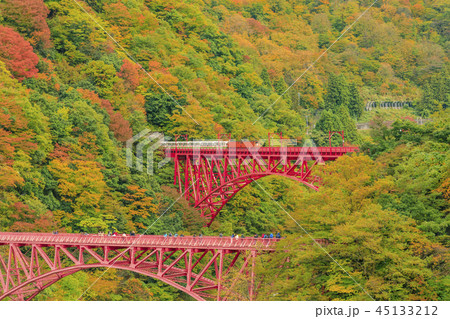 黒部峡谷　トロッコ鉄道 45133212