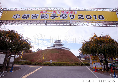 宇都宮市　宇都宮餃子祭り 45133235