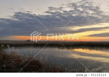 朝焼けの渡良瀬遊水地の霜降りる湿原に霧立つ池と筑波山 朝焼けの渡良瀬遊水地の霜降りる湿原に霧立つ池と筑波山 45133314