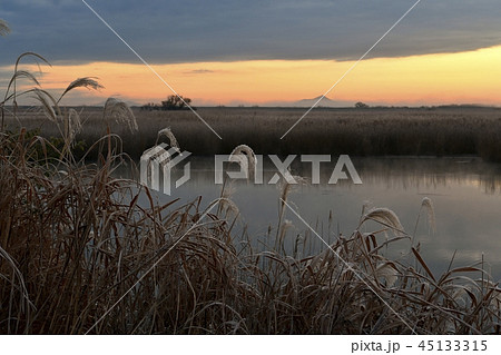 朝焼けの渡良瀬遊水地の霜降りる湿原に霧立つ池と筑波山 45133315