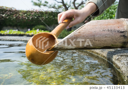 除数 水 ソイル農園 45133413