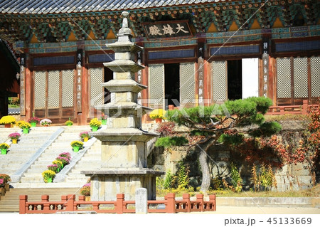 仏教 寺院 節 45133669