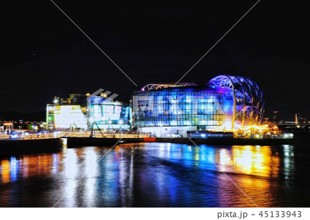 色 夜景 頒布大橋 45133943