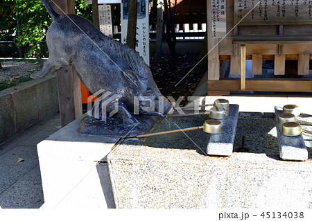 護王神社（京都） 45134038