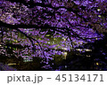 福岡城　夜桜 45134171