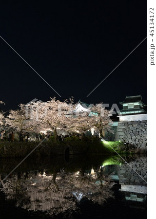 福岡城 夜桜 福岡城 夜桜 45134172