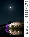 福岡城　夜桜 45134173
