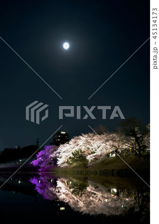 福岡城 夜桜 福岡城 夜桜 45134173