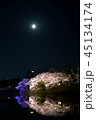 福岡城　夜桜 45134174