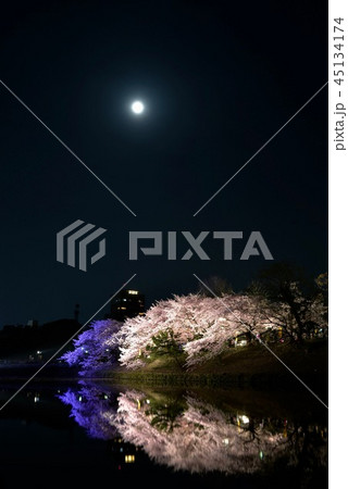 福岡城 夜桜 福岡城 夜桜 45134174